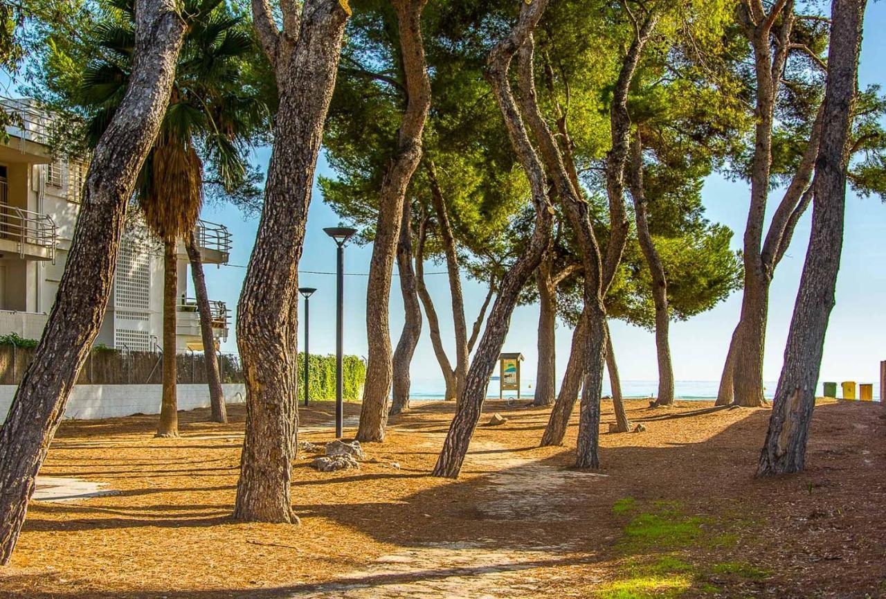 Сasa de vacaciones Casa De Pinos *